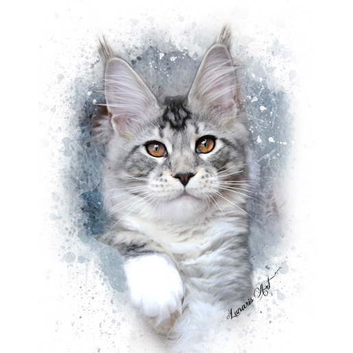 allevamento maine coon Lunaris Art