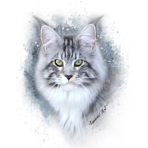 silver maine coon