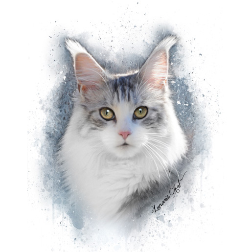 allevamento maine coon Lunaris Art