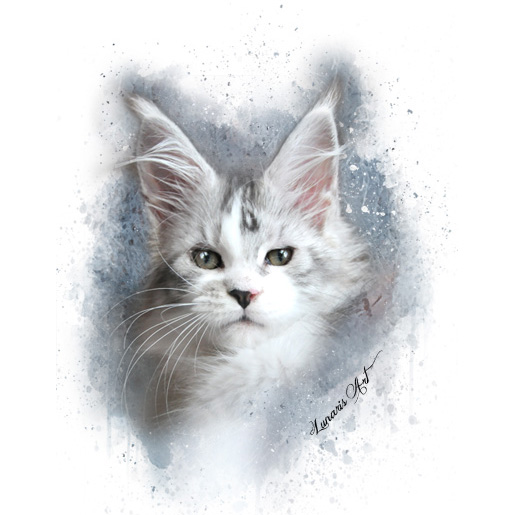 silver maine coon